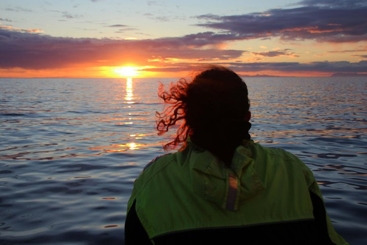 Midnight Sun Whale & Puffin watching from Reykjavik - Photo 1 of 9