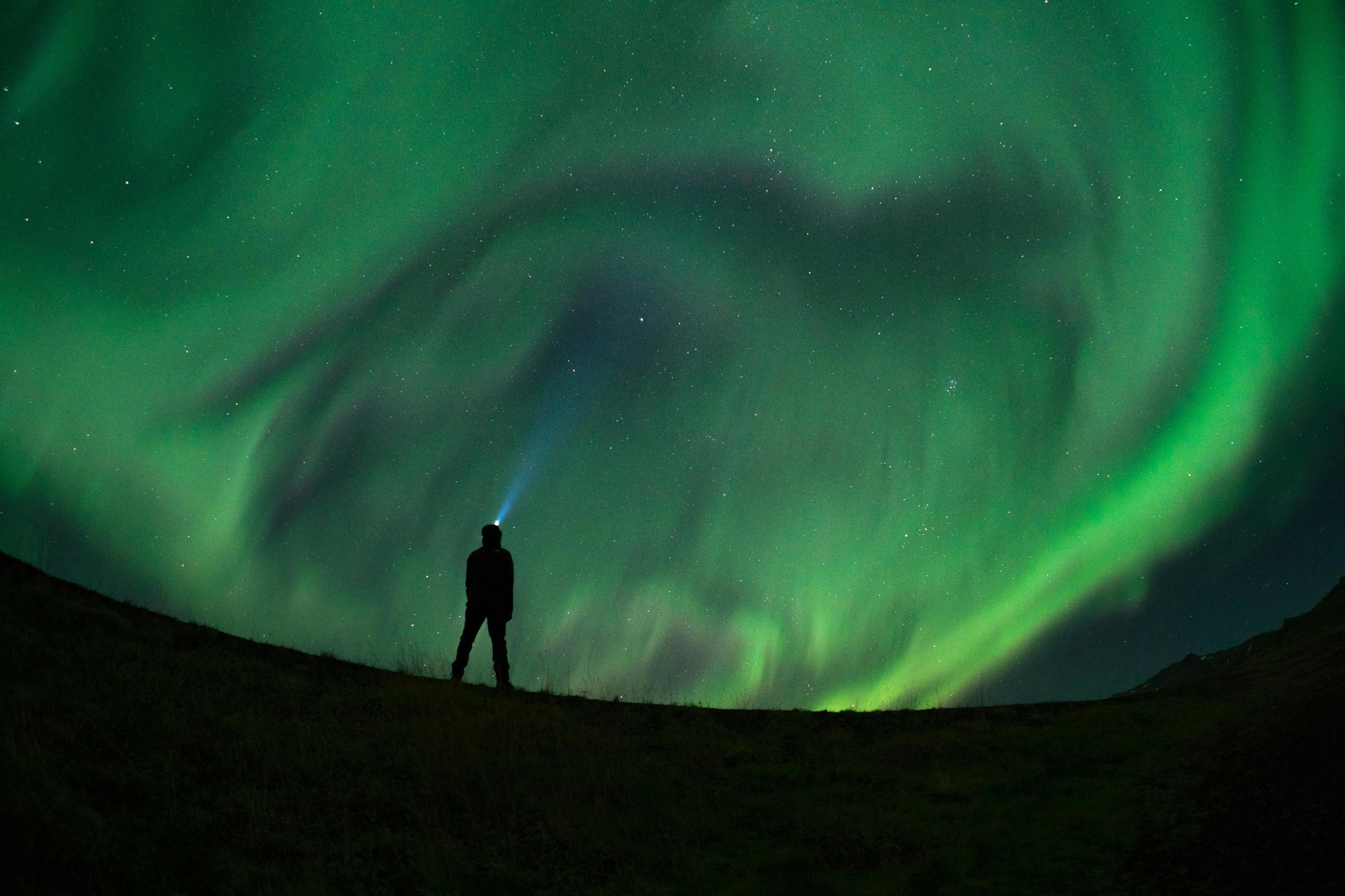 Northern Lights: 3-Hr Bus Tour + Audio Guide - Photo 1 of 9