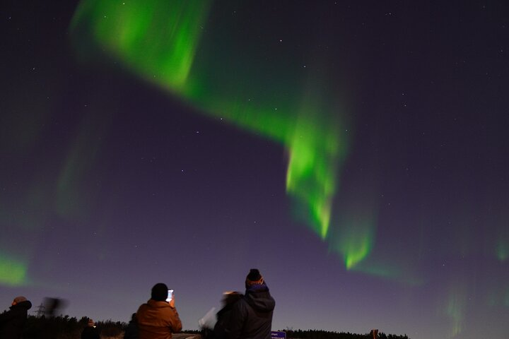 Reykjavik Small Group Northern Lights Tour with Pro Aurora Photos - Photo 1 of 20
