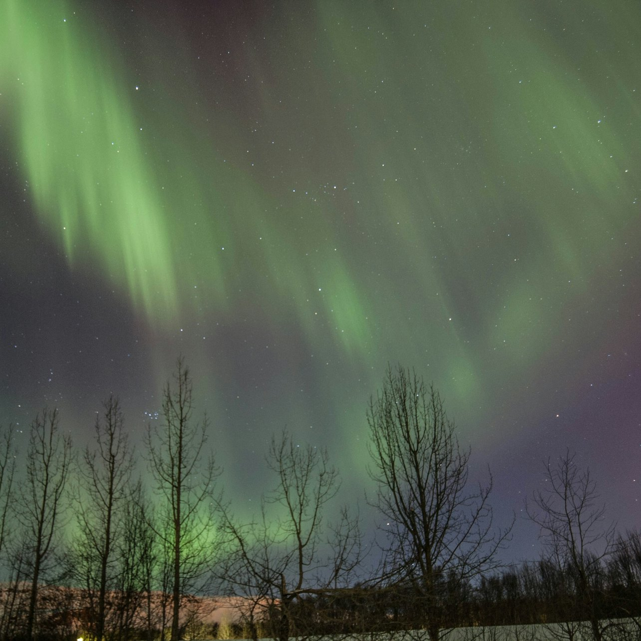 Akureyri: Small-Group Northern Lights Tour - Photo 1 of 3