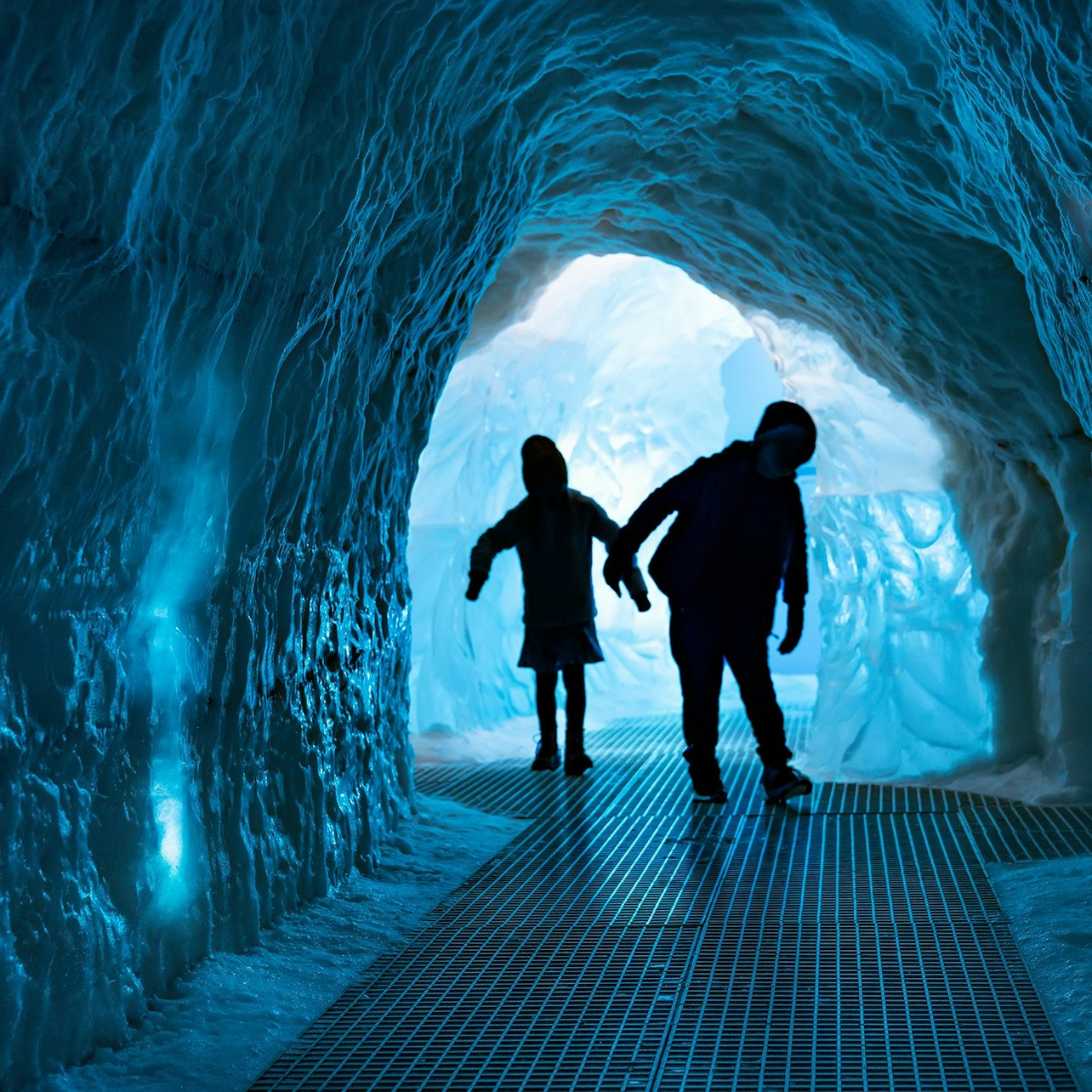 Perlan Museum: Entry Ticket - Photo 1 of 8