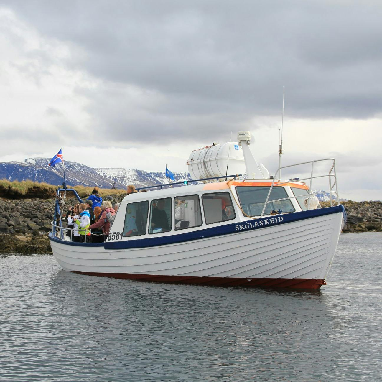 Reykjavik: Puffin Watching Express - Photo 1 of 8