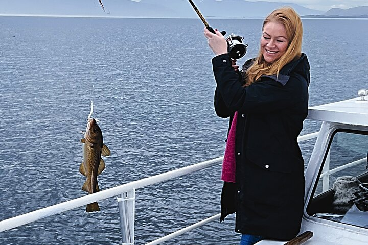 Reykjavik's Finest Catch: Guided Sea Angling Tour for All Levels - Photo 1 of 9