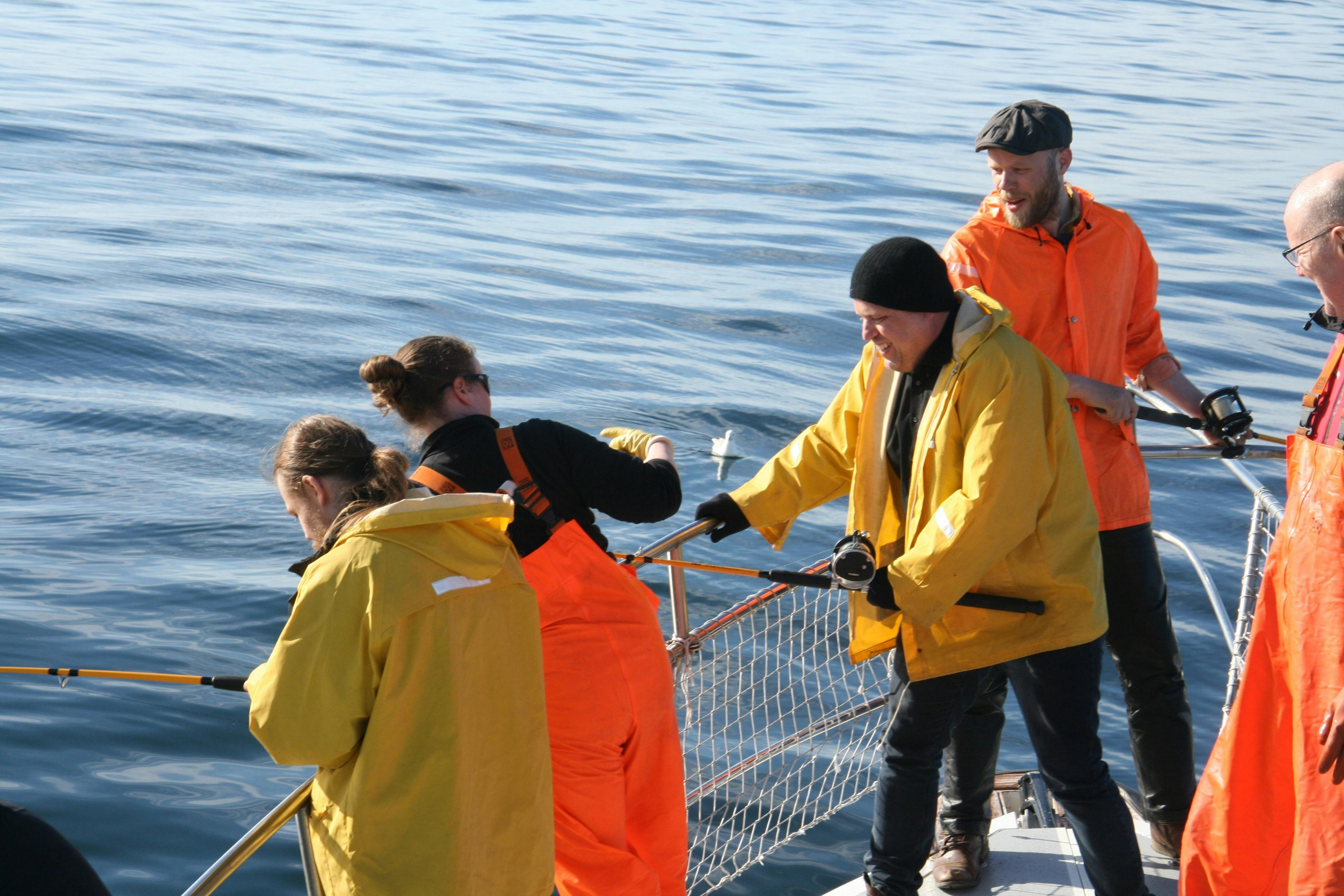 Reykjavik Sea: Angling + BBQ - Photo 1 of 4