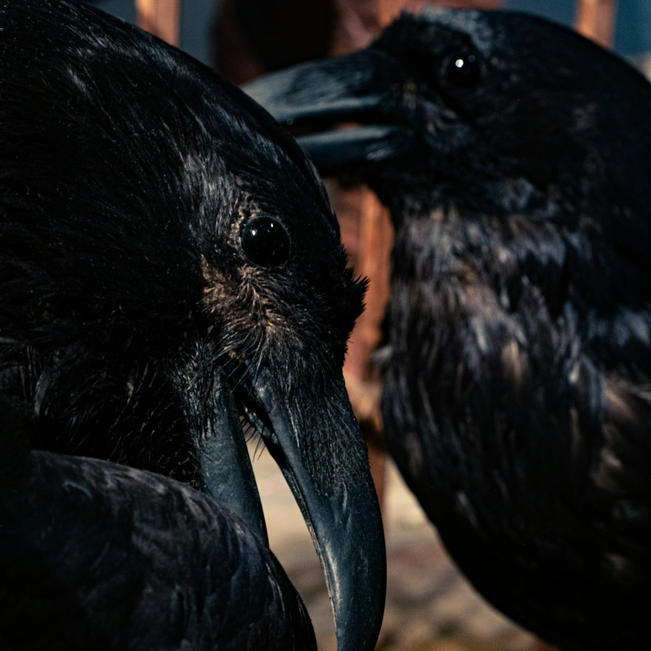 Saga Museum Tickets - Photo 1 of 12