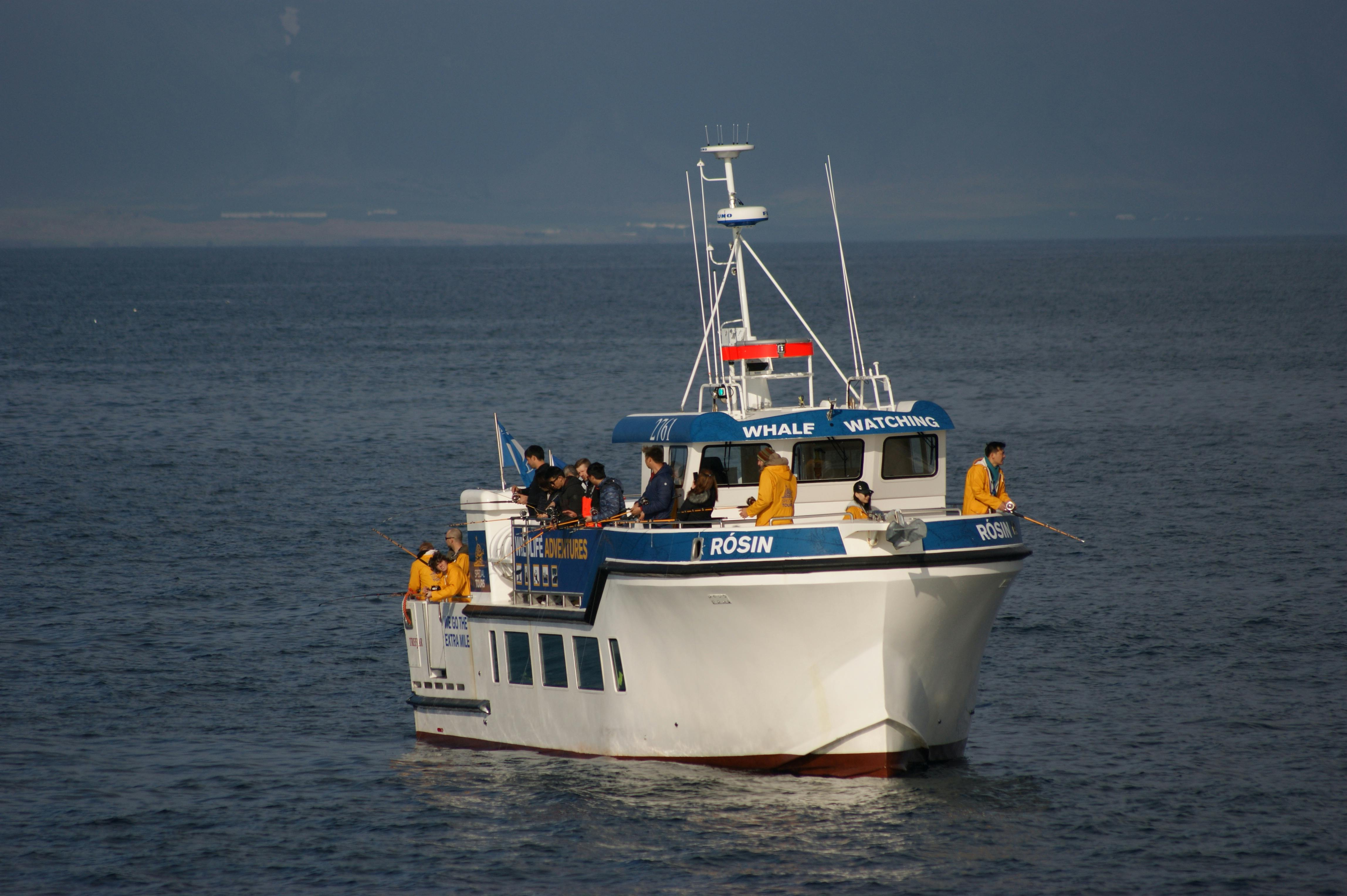 Reykjavik: Sea Fishing Boat Trip - Photo 1 of 3
