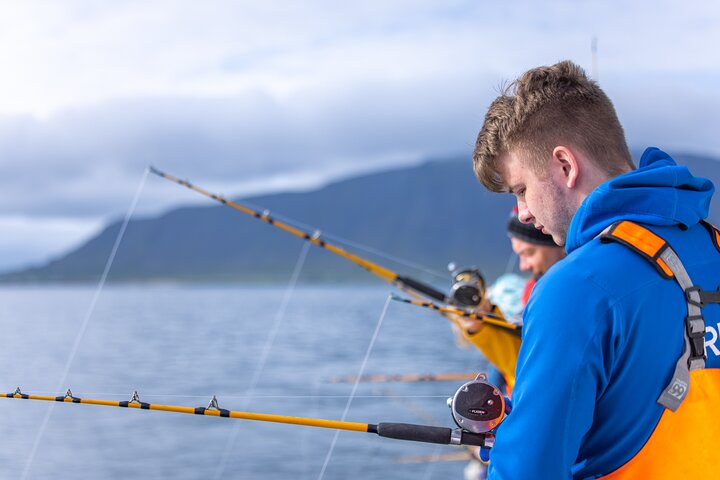 Sea Fishing Experience from Reykjavik - Photo 1 of 6