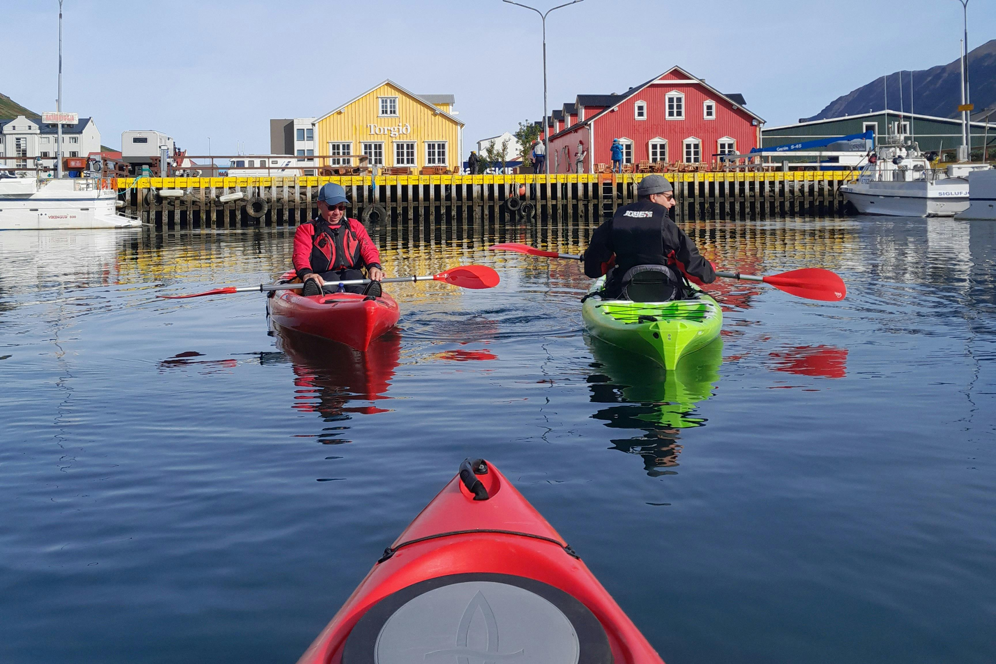Siglufjordur: Guided Kayak Tour - Photo 1 of 7