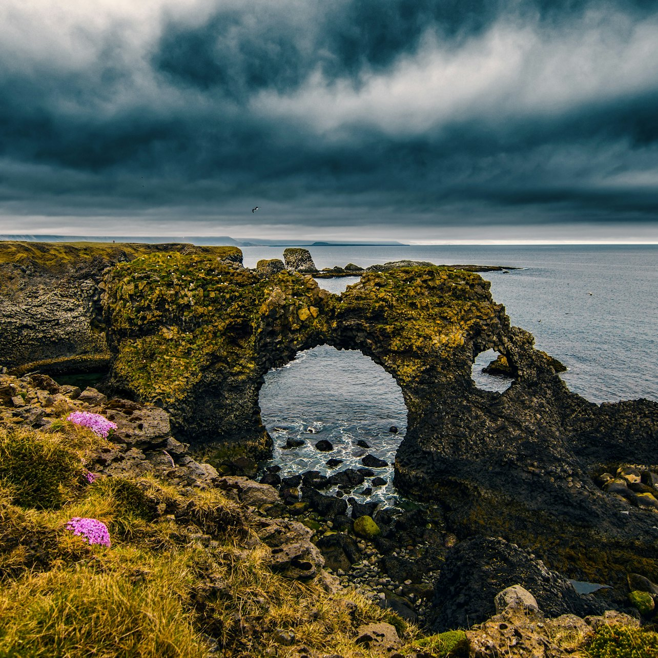Snæfellsnes: Black Beach Day Trip + Dinner - Photo 1 of 6