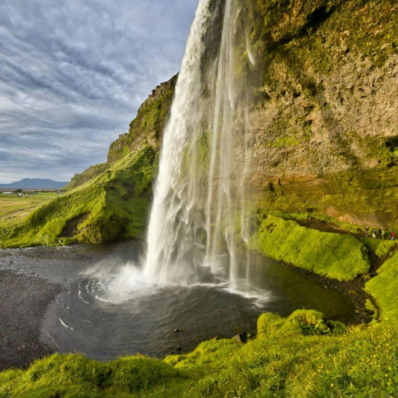 Vik, Skógafoss Waterfall & Black Sand South Iceland: Guided Tour + Transport - Photo 1 of 3