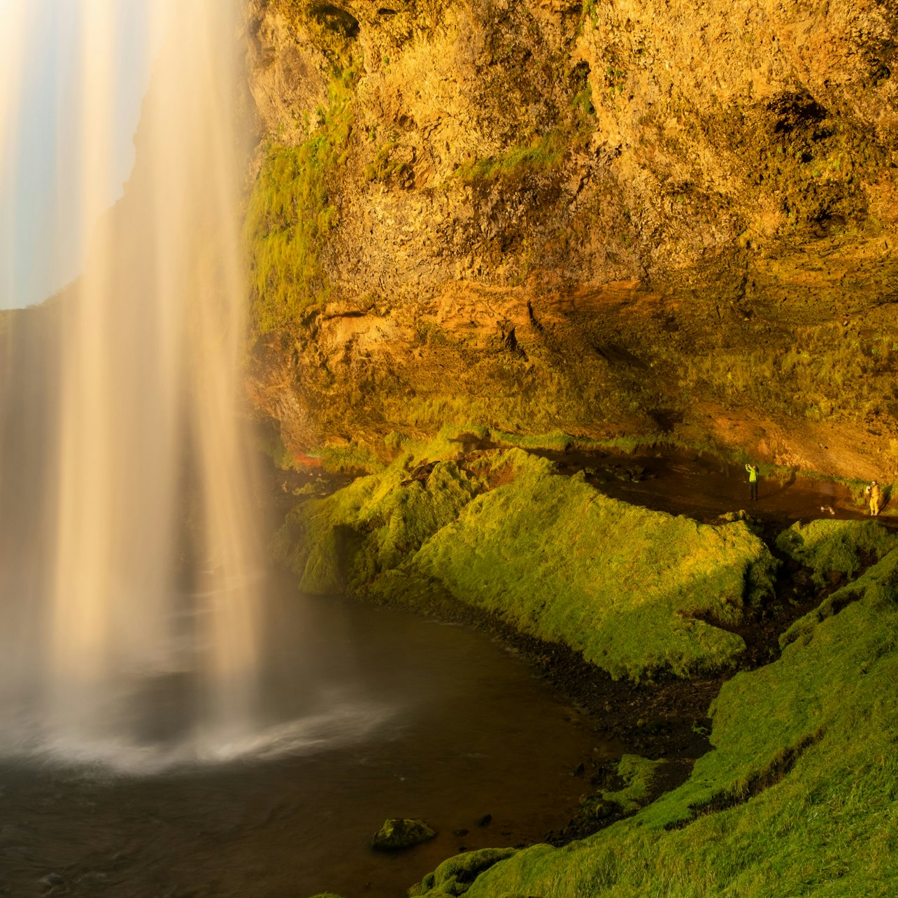 South Iceland: Bus Tour - Photo 1 of 9