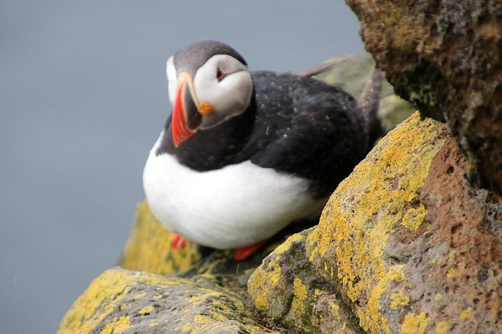 The Great Round Tour: Around Iceland in 13 Days - Photo 1 of 25