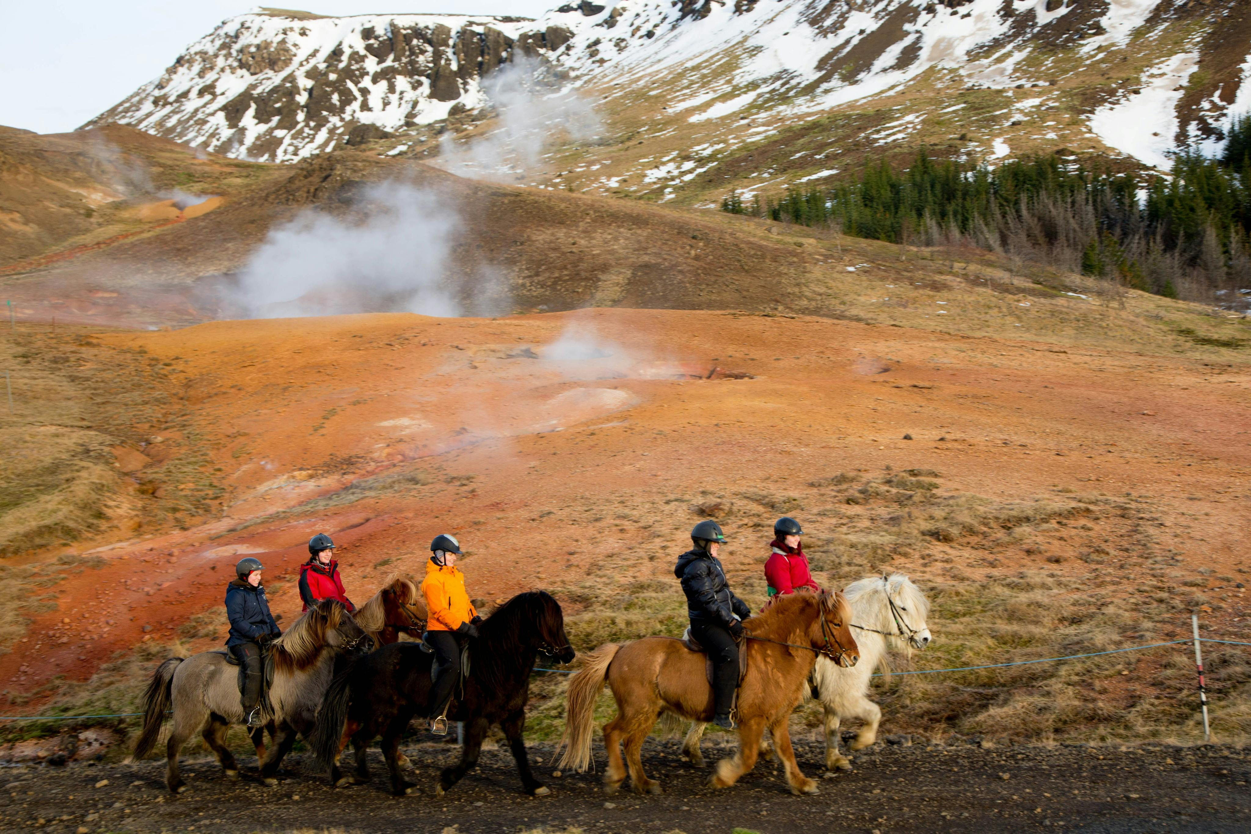 Iceland: Horseback Riding - Hot Springs Tour - Photo 1 of 3