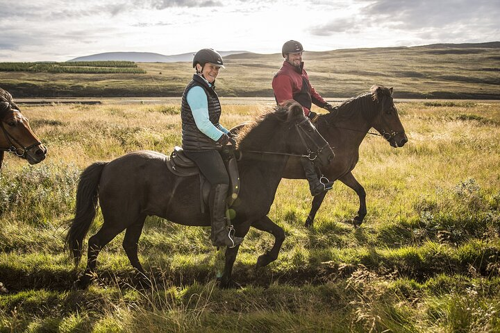 The Viking Horse Riding Experience in North Iceland - Photo 1 of 10