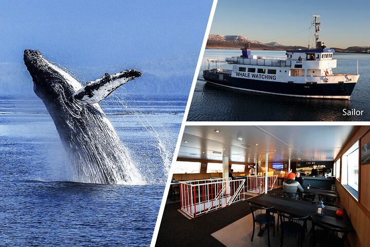 Experience the beauty of Iceland's waters as whales breach the surface while enjoying a comfortable vessel equipped for breathtaking marine adventures. Spot whales and other wildlife amidst stunning seascapes.