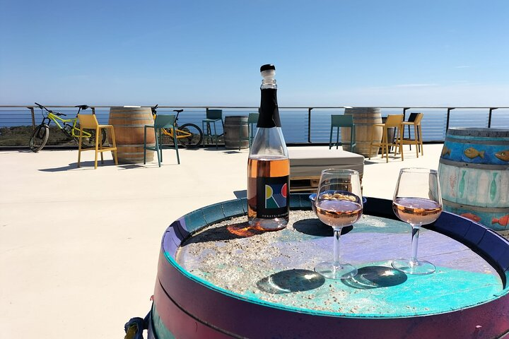 E-bike tour with Wine Tasting at Tenuta delle Ripalte - Photo 1 of 9