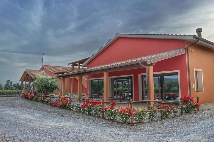 The classics - Guided tour with DOC Bolgheri tasting - Photo 1 of 2