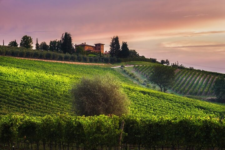 2 Hours Visit and Wine Tasting with tastings in Val D'Orcia - Photo 1 of 14