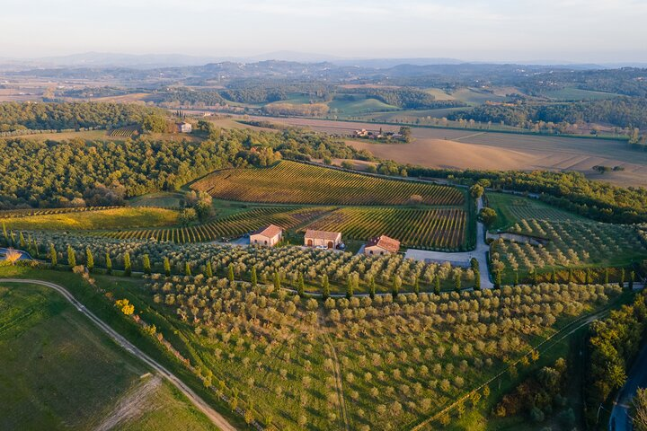 2 Hours Visit and Wine Tasting with tastings in Val D'Orcia - Photo 1 of 9