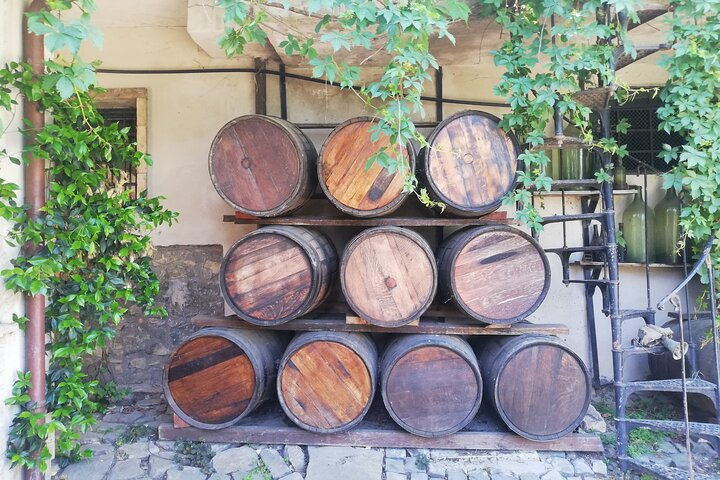 A Lovely Wine Tour to Frascati from Rome - Photo 1 of 10