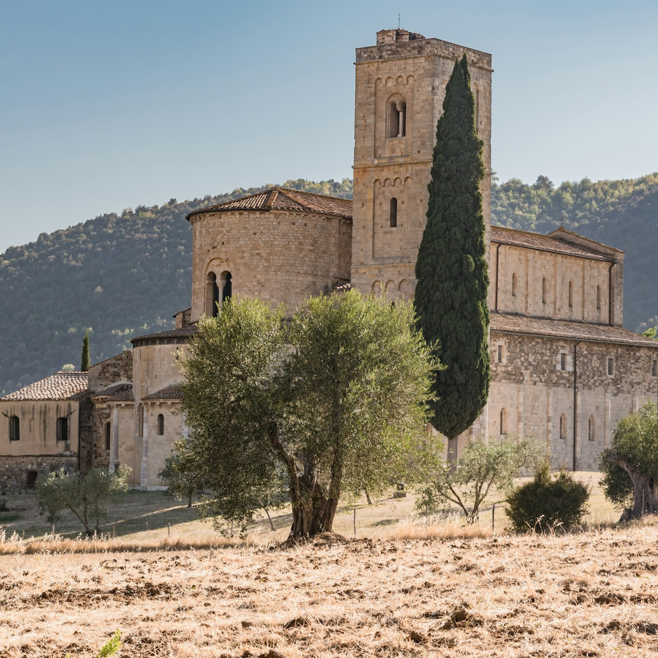 Abbey of Sant'Antimo: Skip The Line - Photo 1 of 7