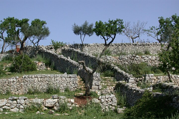  Alberobello: The secret origins of the trulli, private tour 2 hours - Photo 1 of 7
