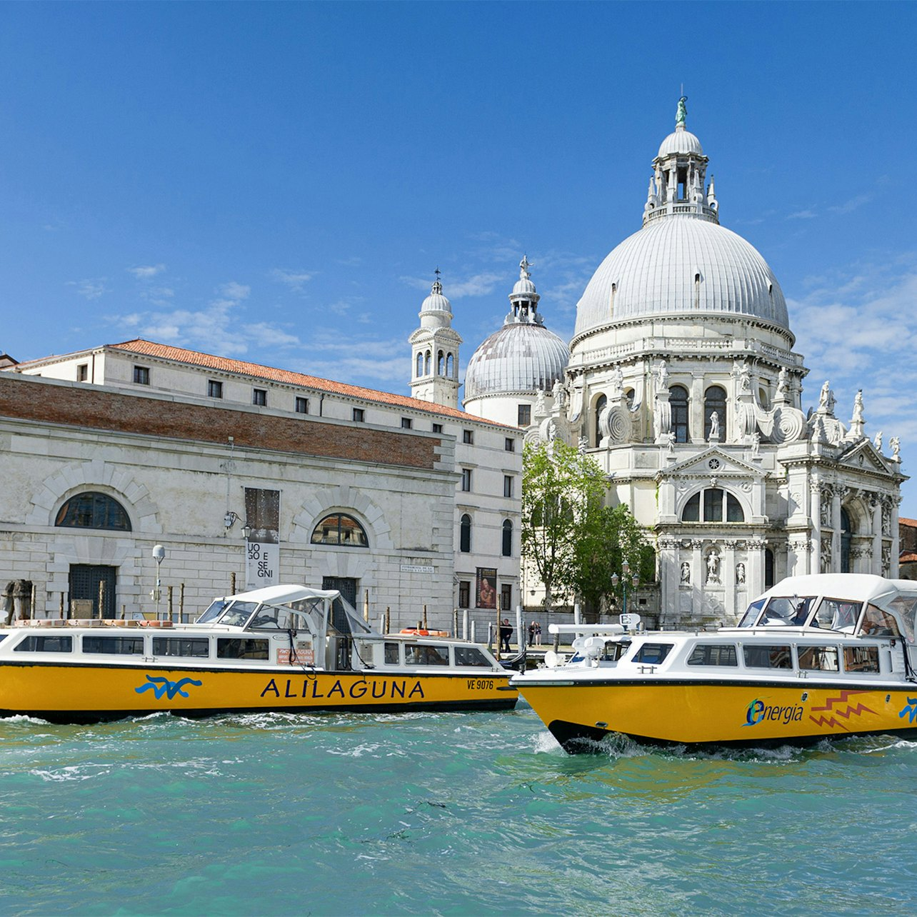 Marco Polo Airport: Alilaguna Boat to/from Venice City Center in Venice |  Pelago