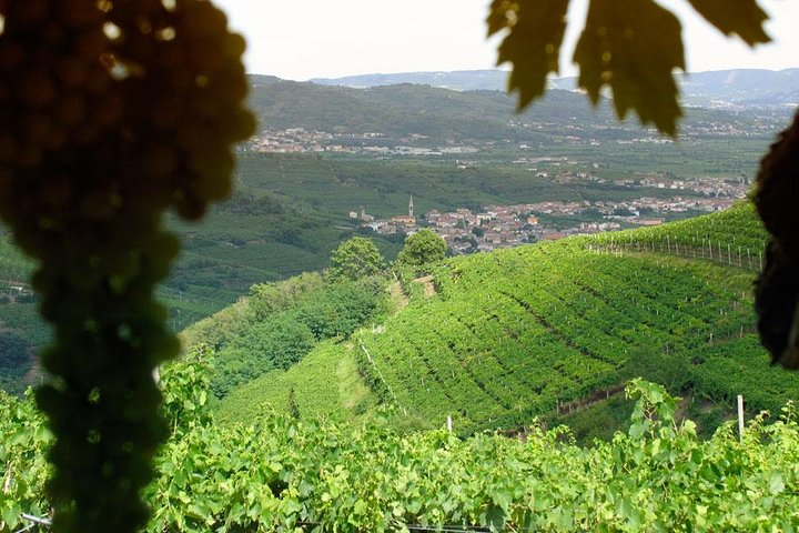 Amarone-Soave Wine Tour. Visit Verona. From Venice - Photo 1 of 15