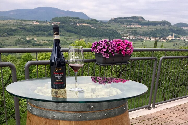 Amarone Wine Tasting in Valpolicella - Photo 1 of 8