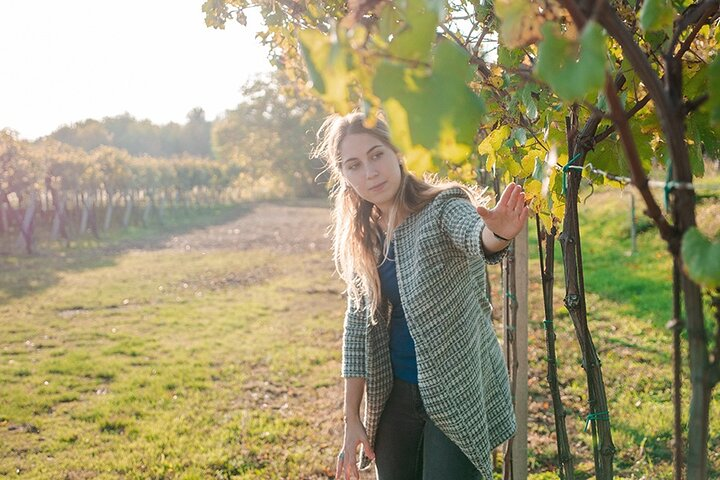 Amarone Wine Tour - Photo 1 of 7