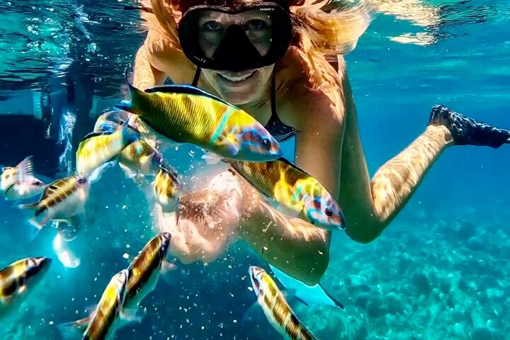 Amazing boat trip from Tropea to Capo Vaticano - 6 to 12 people - Photo 1 of 25