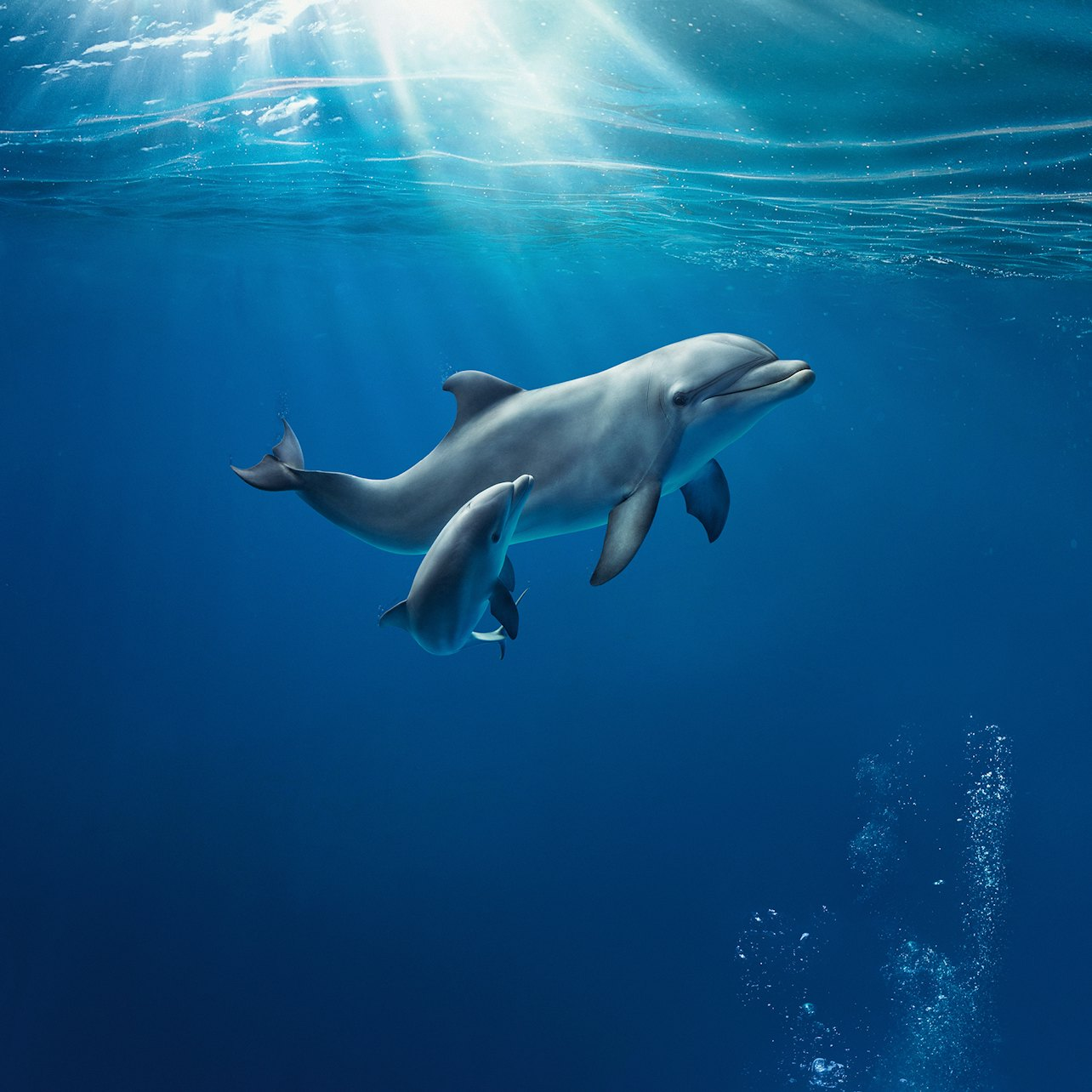 Aquarium of Genoa: Reserved Entry - Photo 1 of 8