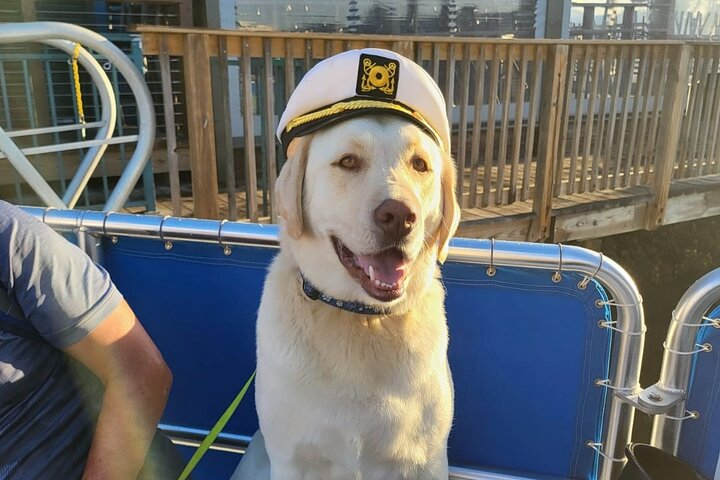 Bark on the Ark - Photo 1 of 6