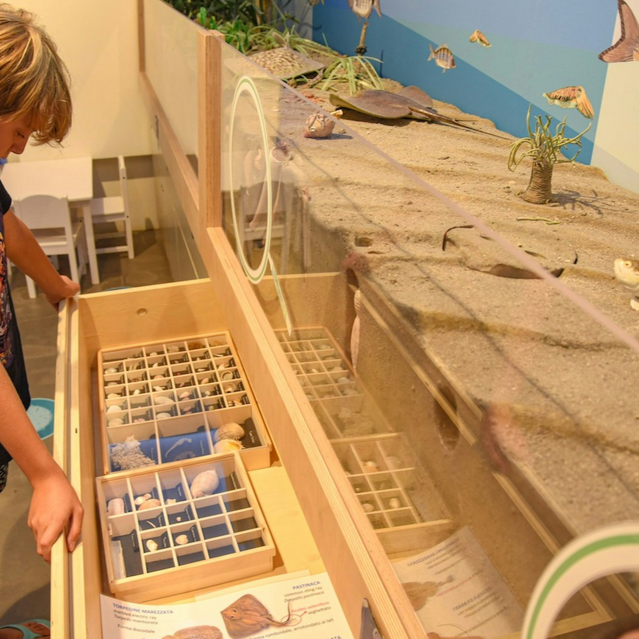 Biodiversitario Marino (BioMa) - Photo 1 of 6