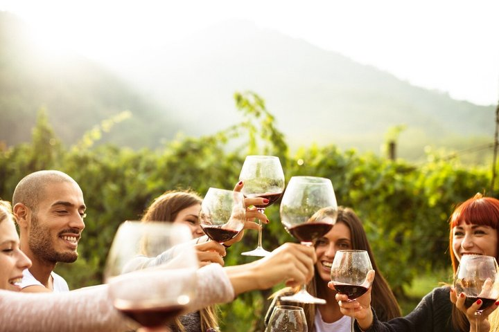 Lake Iseo & Franciacorta Winery. Scenic & Wine Tasting tour - Photo 1 of 25