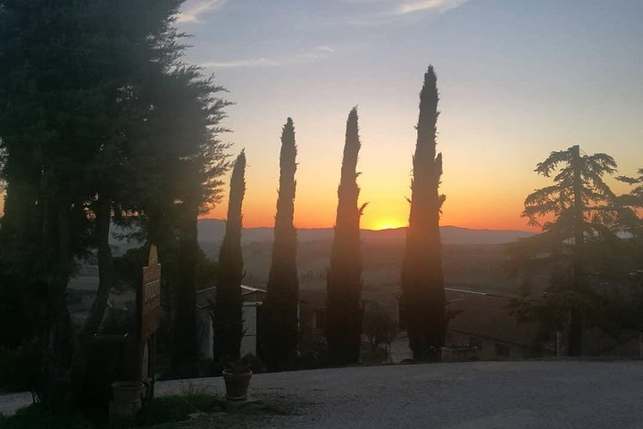 Brunello Wine Tour and Val D'Orcia Landscape - Photo 1 of 8