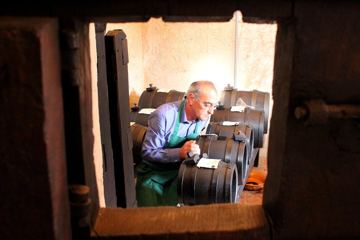 Centenary Balsamic Vinegar of Modena - Acetaia Tour & Tasting - Photo 1 of 8