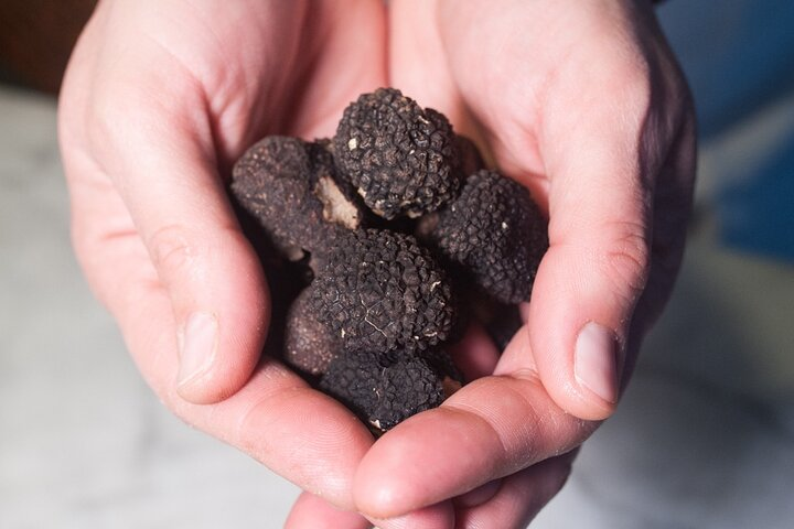 Cesarine: Truffle Dining and Cooking Demo Experience in Perugia - Photo 1 of 6