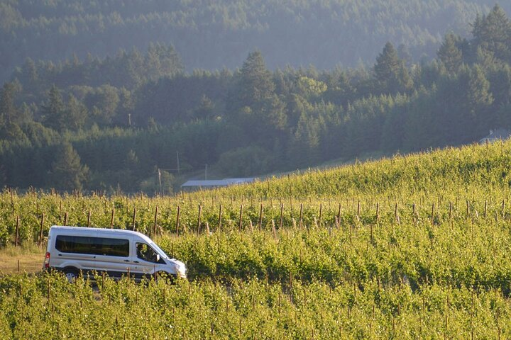 San Gimignano and Winery Experience with Lunch from Livorno  - Photo 1 of 8