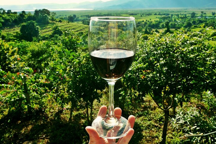 Wine Tour of the Chianti Region - Photo 1 of 12