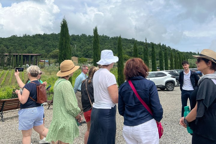 3 Cellars in Chianti with Visits, Wine Tastings, Lunch&Transfer - Photo 1 of 7