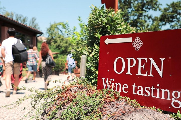 Chianti Wine Tasting