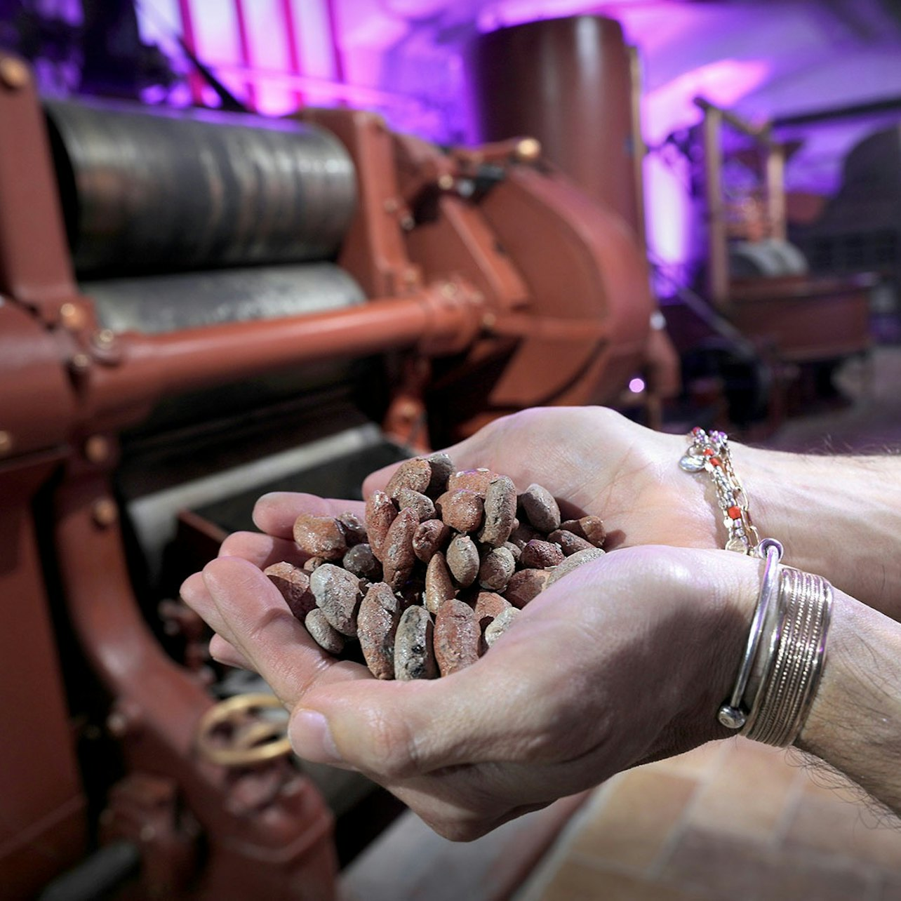 Turin: Choco-Story Tour + Audio Guide + Chocolate Tasting - Photo 1 of 8