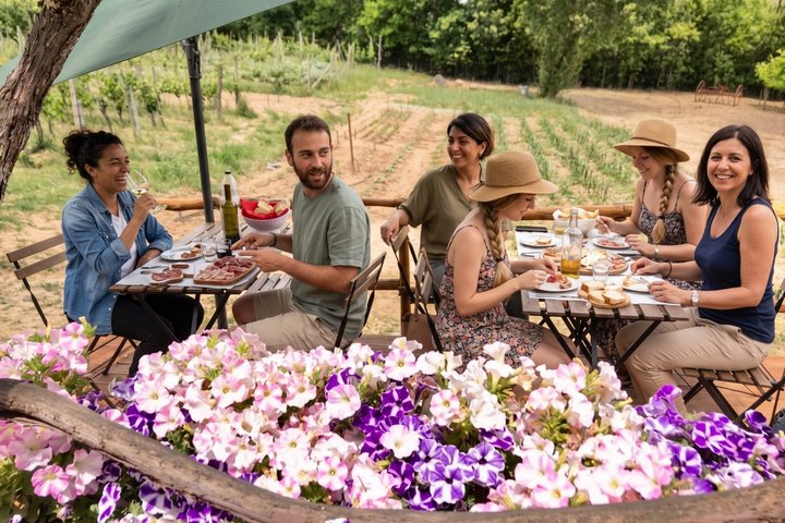 Montepulciano: Cinta Senese Farm Tour, Food Tasting & wine - Photo 1 of 25