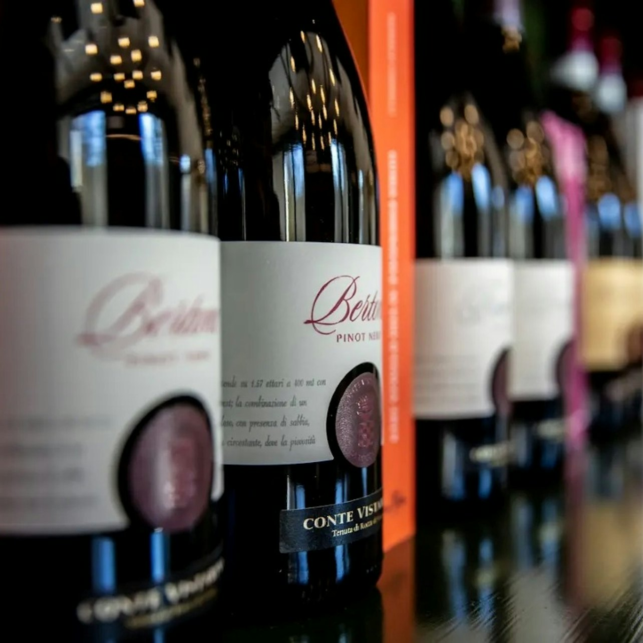 Conte Vistarino Winery: Guided Tour + Tasting - Photo 1 of 7