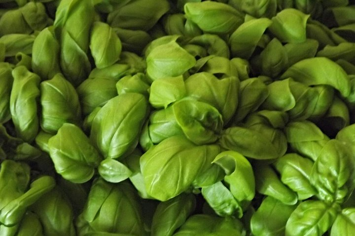 Cooking Class Pesto Sauce - Photo 1 of 2