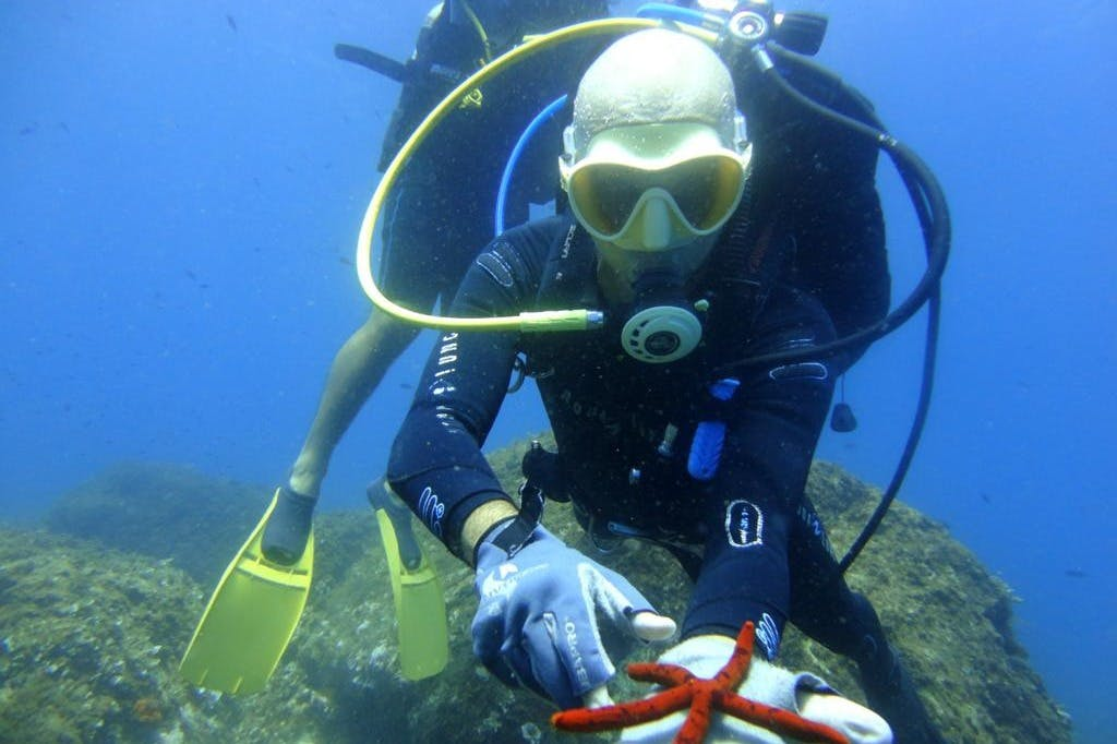 Cyclopean Isles: Scuba Diving Experience - Photo 1 of 4