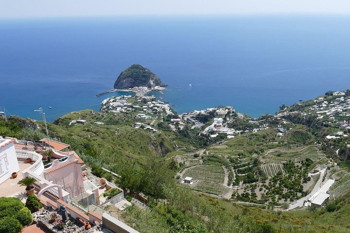 Day Trip to Ischia from Sorrento: Sightseeing & Tasty Food Tour with Local Guide - Photo 1 of 3