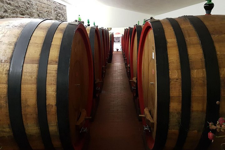 Private Tuscany Wine Tour: Montepulciano and Siena from Florence - Photo 1 of 10