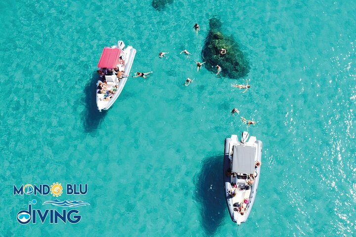 The exciting private tour for you or your family - Photo 1 of 15